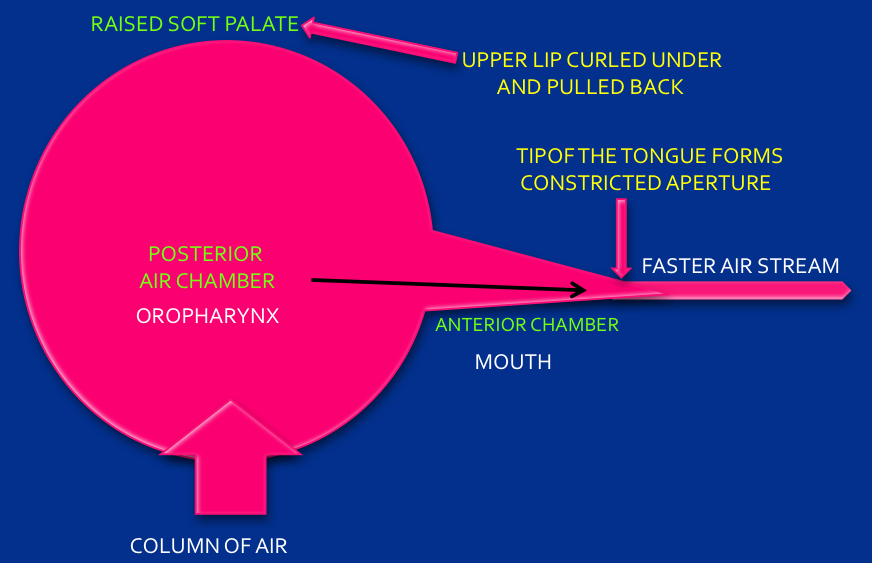 Figure 4: Enlarged oropharynx space
