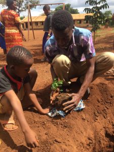 DMI students planting mpingo
